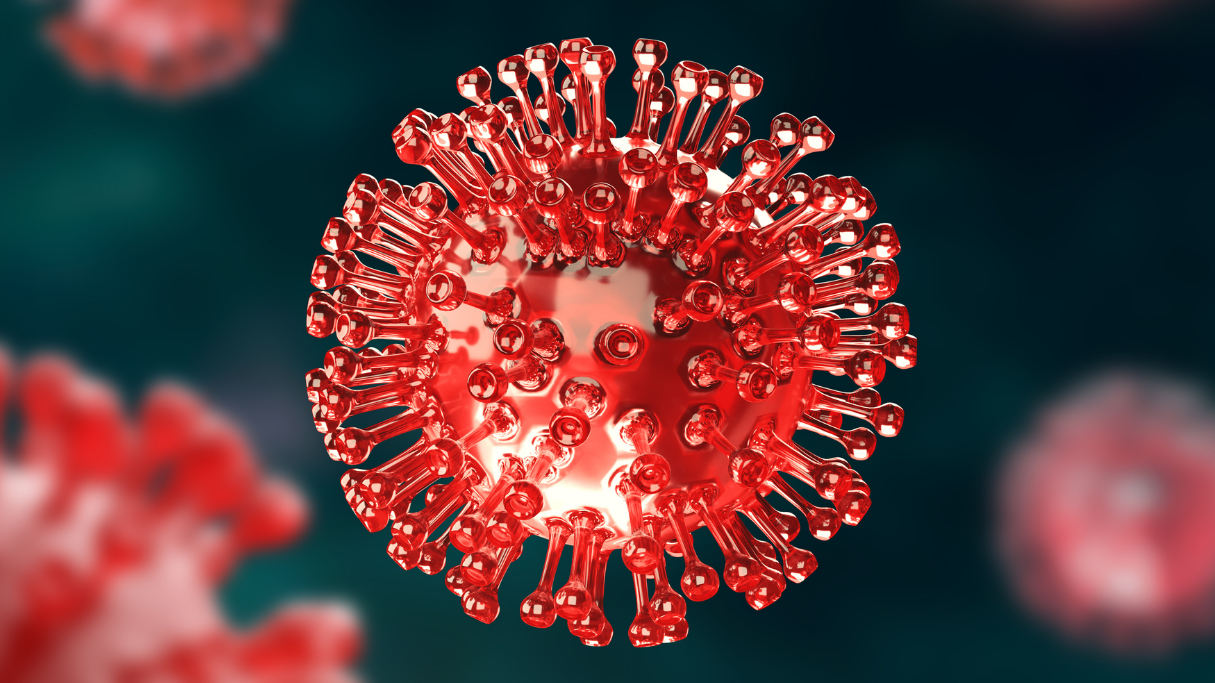 Expectations from the World After the Pandemic